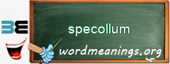 WordMeaning blackboard for specollum